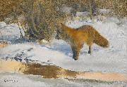 bruno liljefors Winter Landscape with a Fox oil